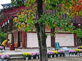 KOREA2017_DSC_1854