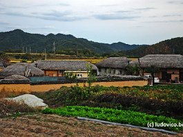 KOREA2017_DSC_2236