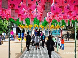 KOREA2017_DSC_2006