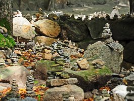 KOREA2017_DSC_2053