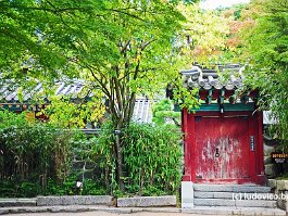 KOREA2017_DSC_2081