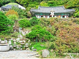 KOREA2017_DSC_1900