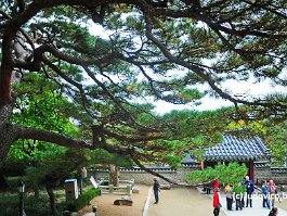 KOREA2017_DSC_2990