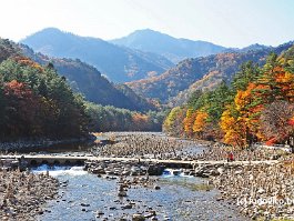 KOREA2017_DSC_3945