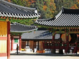 KOREA2017_DSC_3969