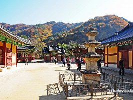 KOREA2017_DSC_3974