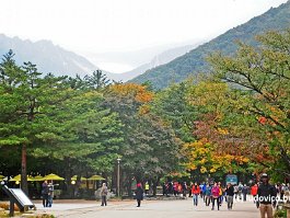 KOREA2017_DSC_3292