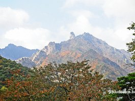 KOREA2017_DSC_3321