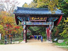 KOREA2017_DSC_2741