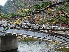 KOREA2017_DSC_2803