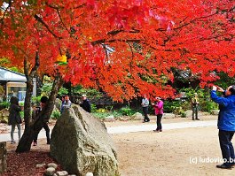 KOREA2017_DSC_2813