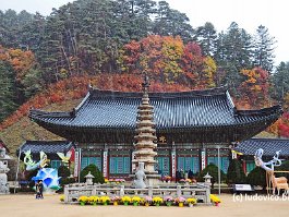 KOREA2017_DSC_2835