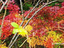 KOREA2017_DSC_2841