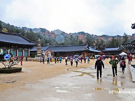 KOREA2017_DSC_2858