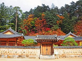 KOREA2017_DSC_2870