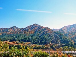 KOREA2017_DSC_4073