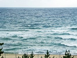 KOREA2017_P1330083