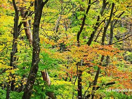 KOREA2017_DSC_1481