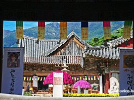 KOREA2017_DSC_1538