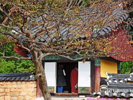 KOREA2017_DSC_1609