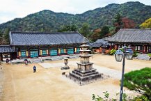 4 Daegu