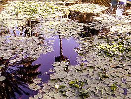 MARRAKECH2003_71