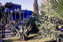 Jardin Majorelle