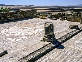 VOLUBILIS2003_13