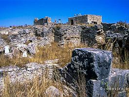 VOLUBILIS2003_14