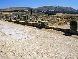 VOLUBILIS2003_2