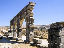 VOLUBILIS2003_4