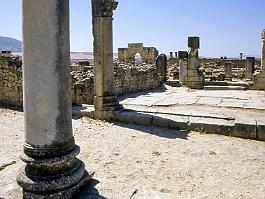 VOLUBILIS2003_5