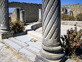 VOLUBILIS2003_9