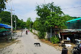 MYANMAR2019-P1320095