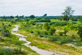 MYANMAR2019-P1320141