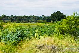 MYANMAR2019-P1320143