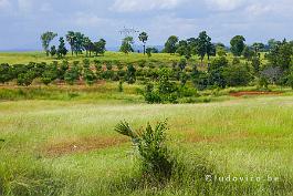 MYANMAR2019-P1320197