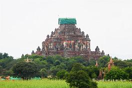 MYANMAR2019-P1320367