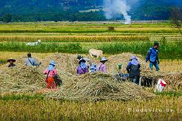 MYANMAR2019-P1300648