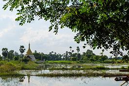 MYANMAR2019-DSCF2502