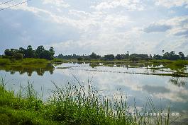 MYANMAR2019-P1310790