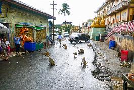 MYANMAR2019-P1320279