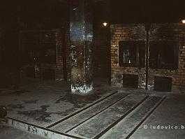 AUSCHWITZ2000N014