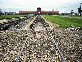 AUSCHWITZ2000N017