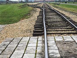 AUSCHWITZ2000N022