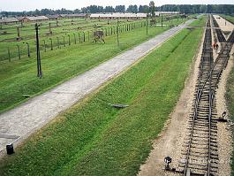 AUSCHWITZ2000N026