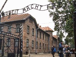 AUSCHWITZ2000N002