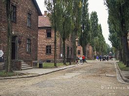 AUSCHWITZ2000N004