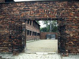 AUSCHWITZ2000N010