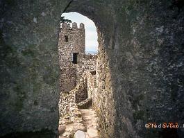 SINTRA2002N019